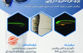 پوستر کارگاه زبرافیش-1404